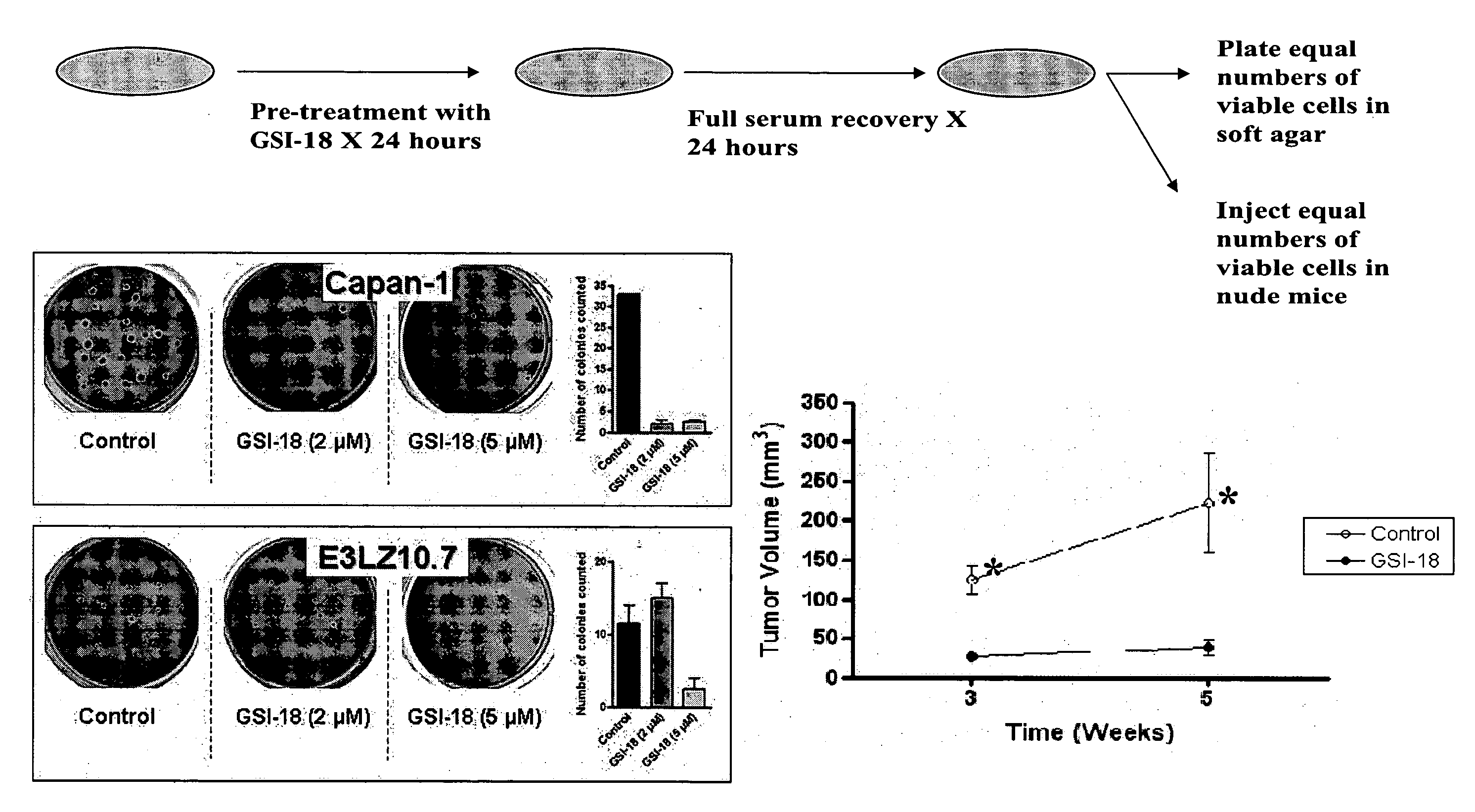 Cancer treatment with gama-secretase inhibitors