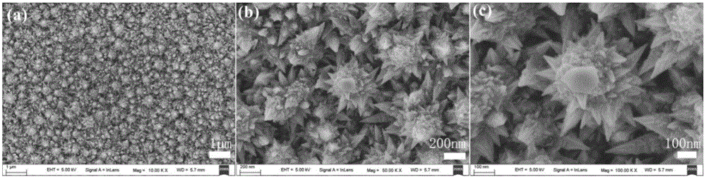 Super-hydrophobic stainless steel surface coating and preparation method thereof