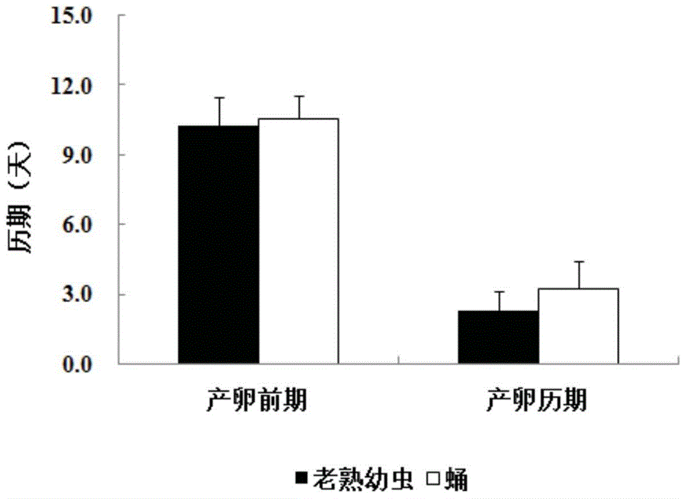 Method for preventing and treating dendroctonus valens LeConte by using scleroderma guani Xiao et Wus