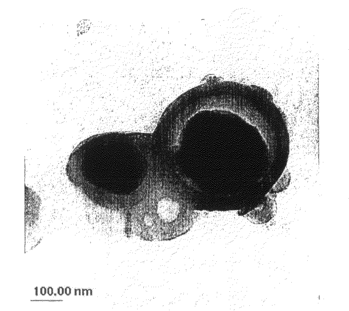 Vesiculated polymer particles