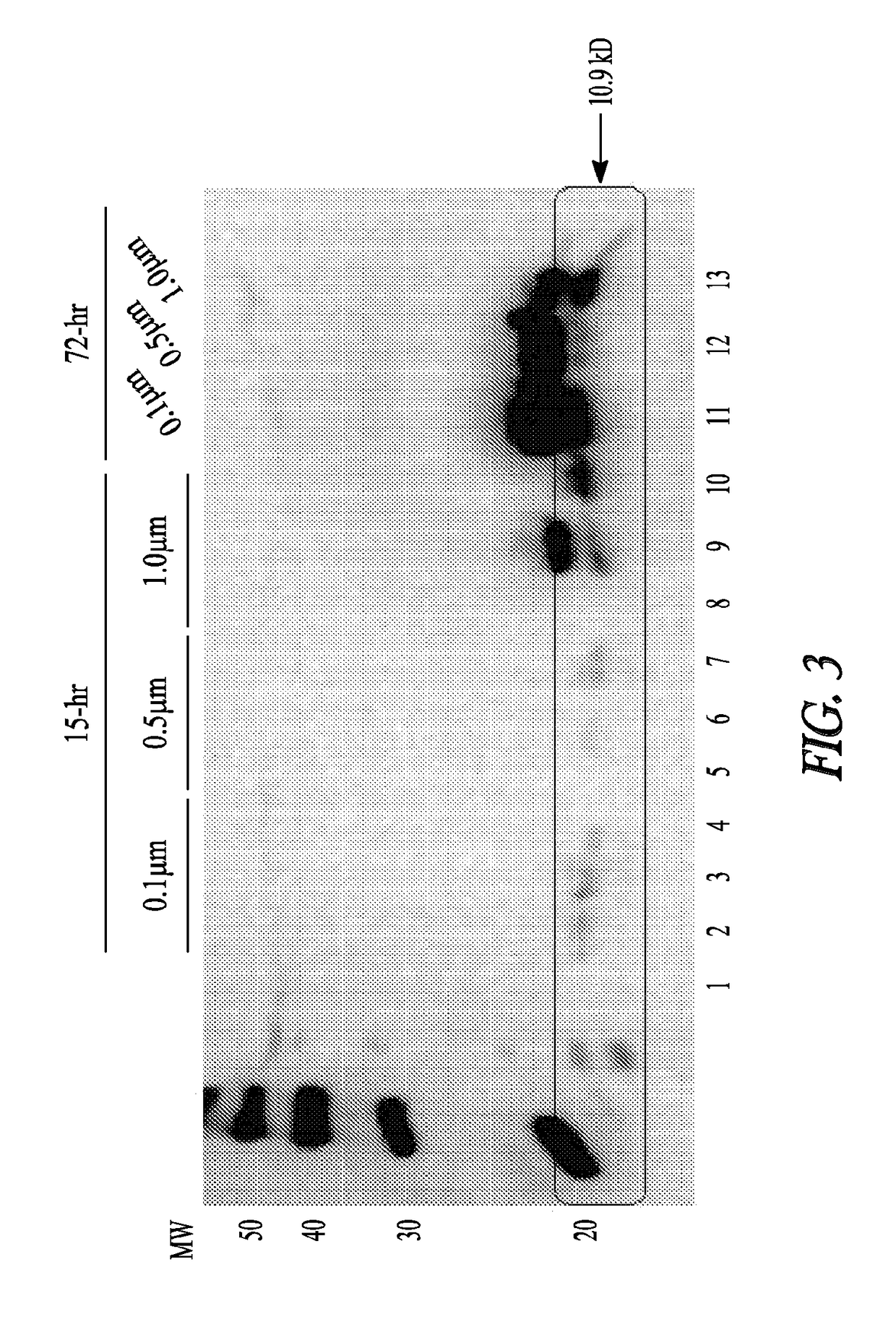 Reduction of implant infection via tunable stimulation of localized adaptive immune response