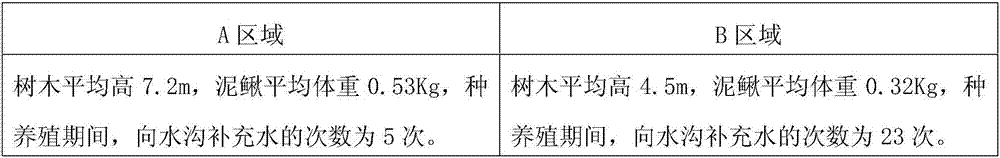 Under-forest fish culture method