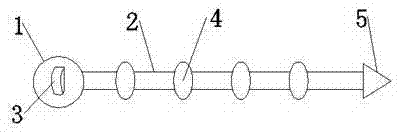 Electronic wing tag suitable for being worn by chicken