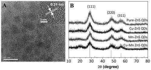 A kind of preparation method and application of cu-mn double-doped zns quantum dot solution