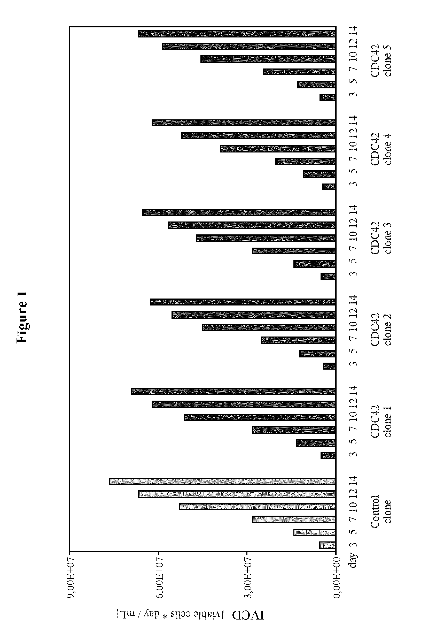 Enhancement of protein production yield mediated by a fast shuttling cdc42 gtpase