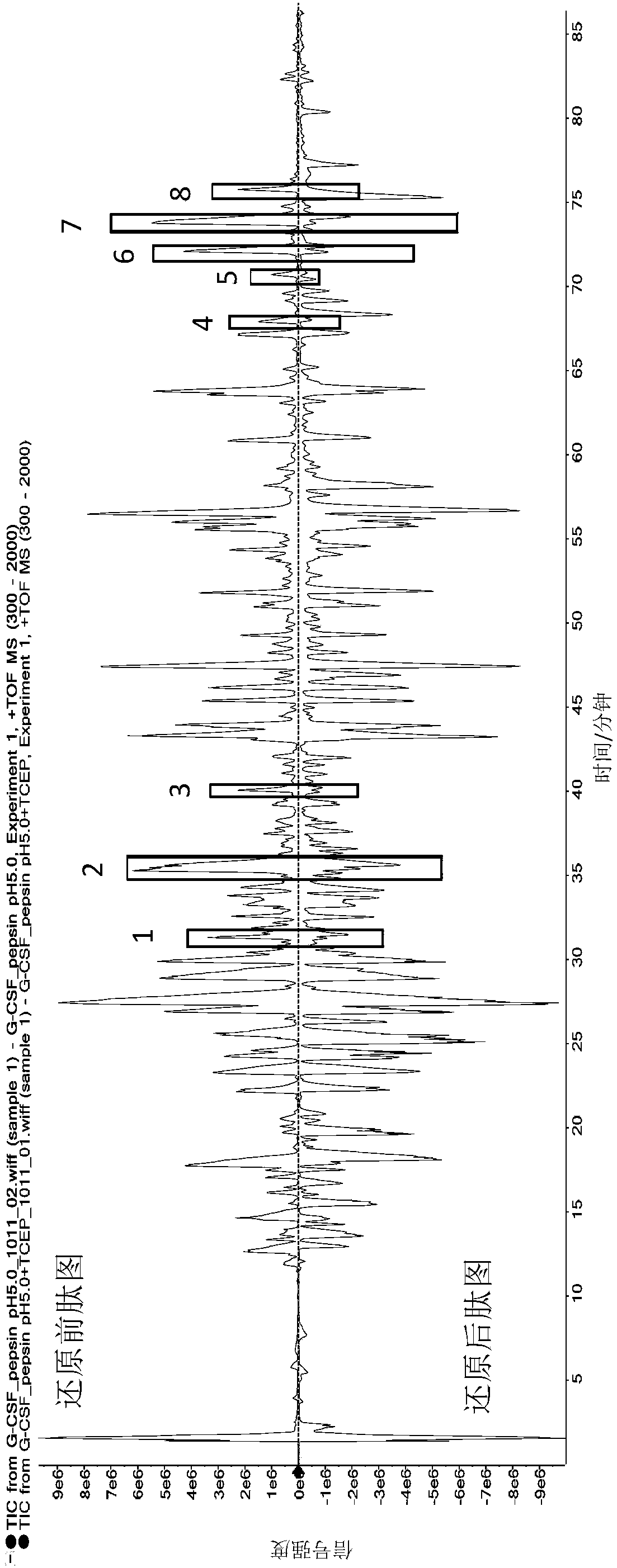 Method for determining composition of disulfide bond of recombinant human granulocyte colony stimulating factor