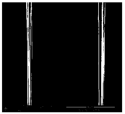 Method for surface modification of carbon fibers by sizing agent containing carbon nanomaterials