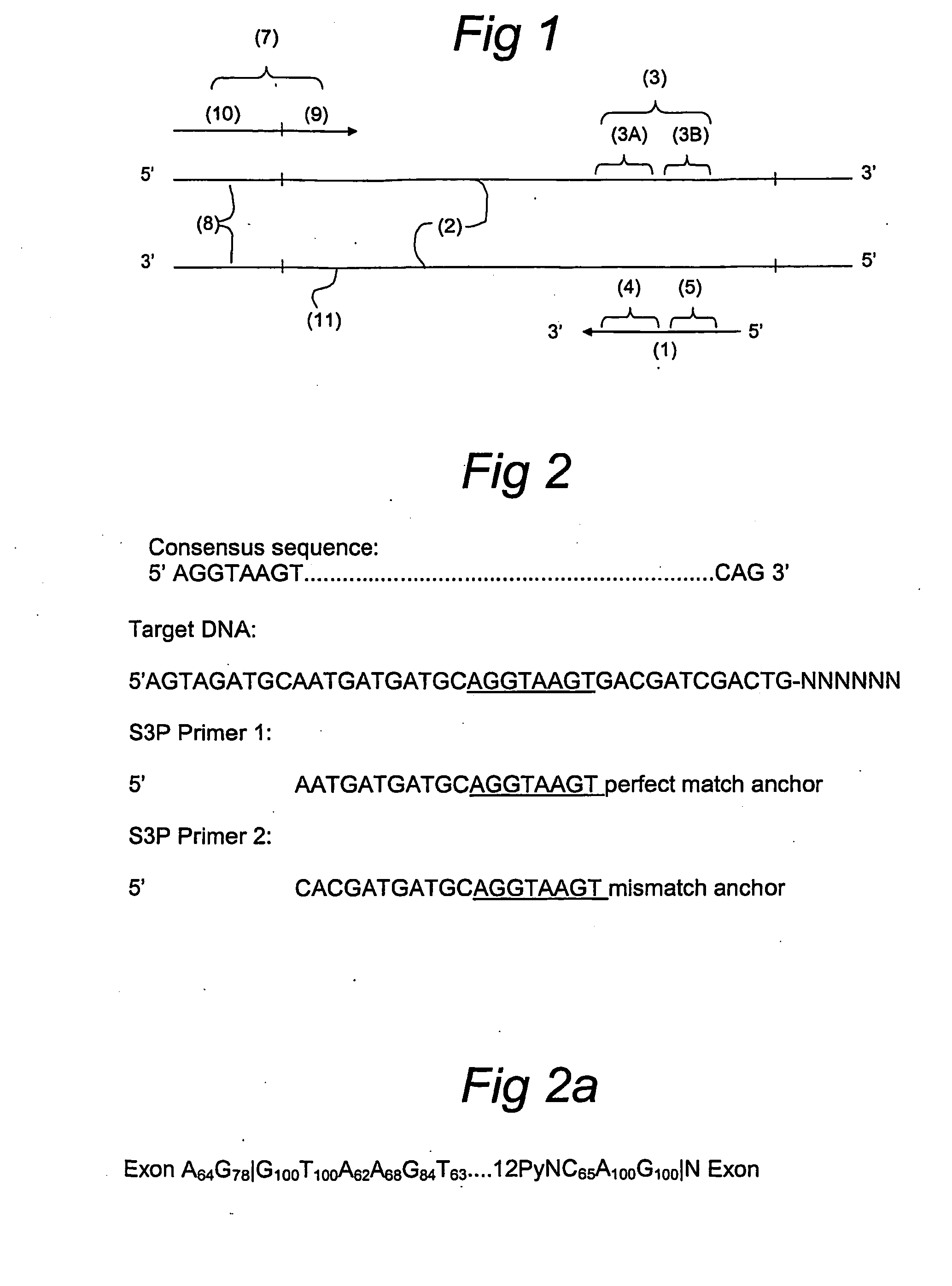 Splice site aflp