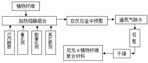 Nylon 6/plant fiber composite material and preparation method thereof