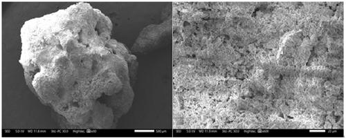 Coal gangue porous soil conditioner and preparation method thereof