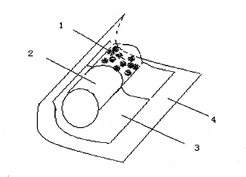 Composite filter tip containing biological composition