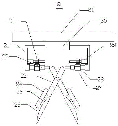 Alga removing device