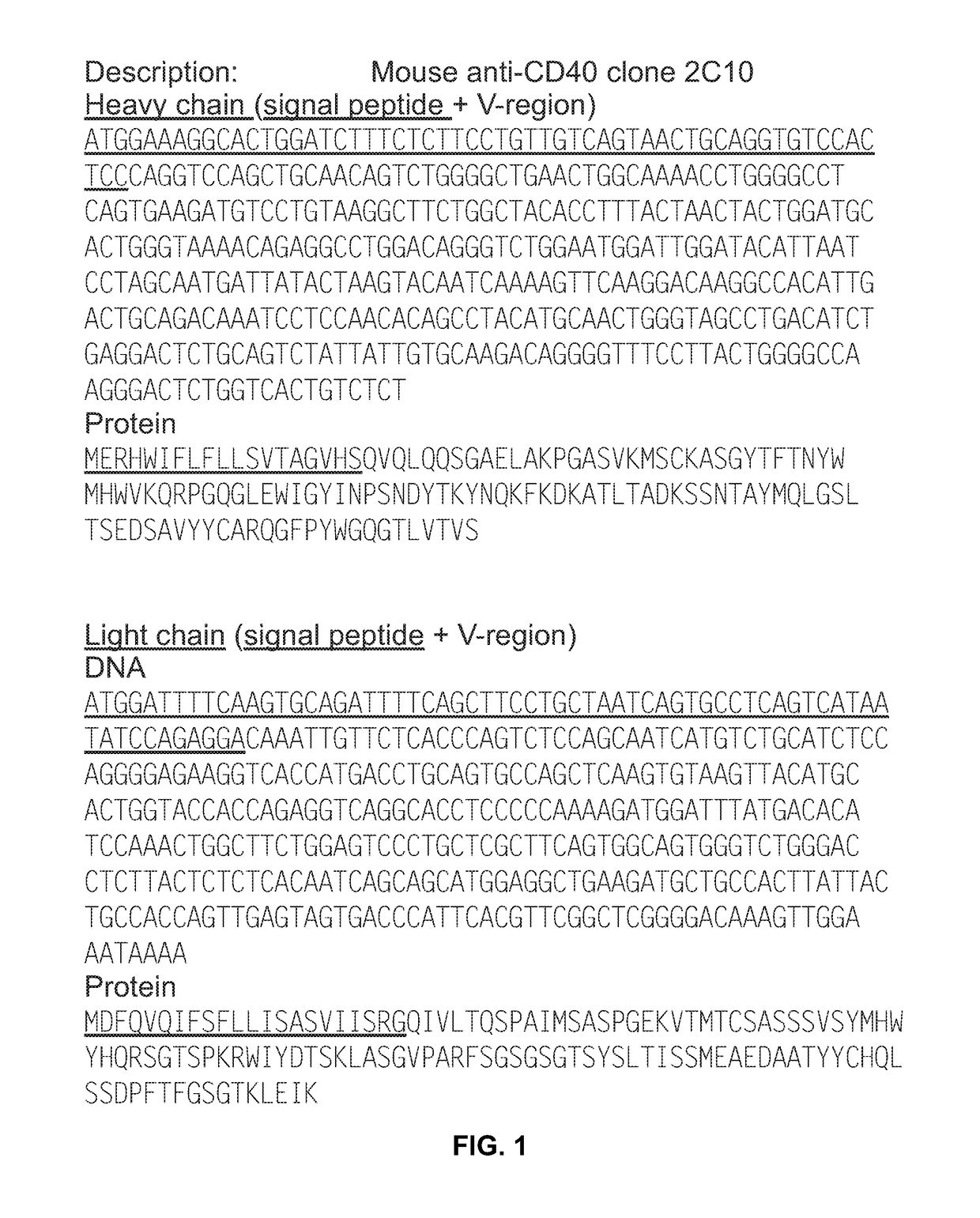 Humanized anti-CD40 antibodies and methods of administering thereof