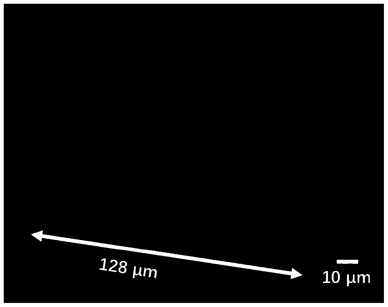 Preparation method for single-layer MoS2-WS2 transverse heterojunction