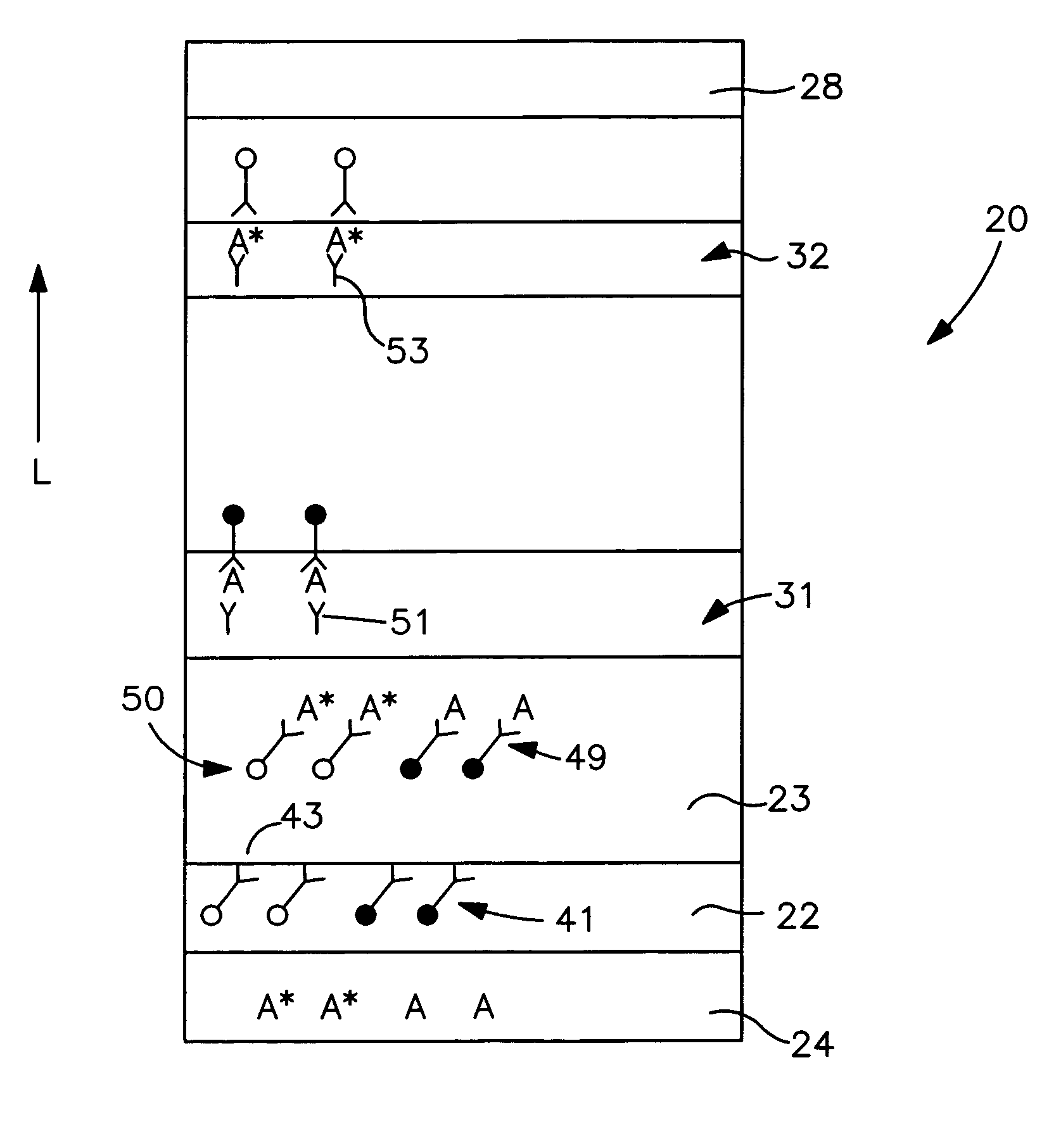 Diagnostic test kits employing an internal calibration system