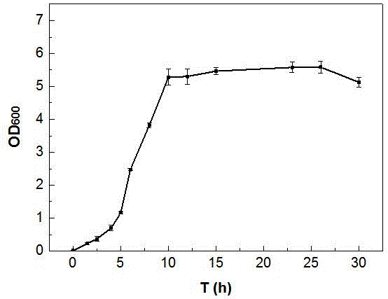 Microbiological strain for repairing heavy metal contaminated soil, and screening method and application thereof