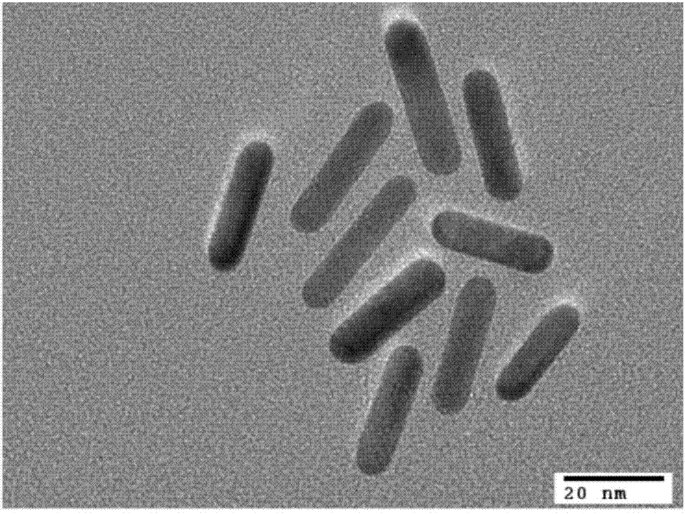 Novel functionalized gold nanorod immune probe as well as preparation method and application of gold nanorod biological chip