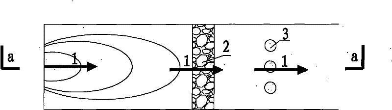 Organism remediation method of underground water nitrate pollution for solving nitrite accumulation problem