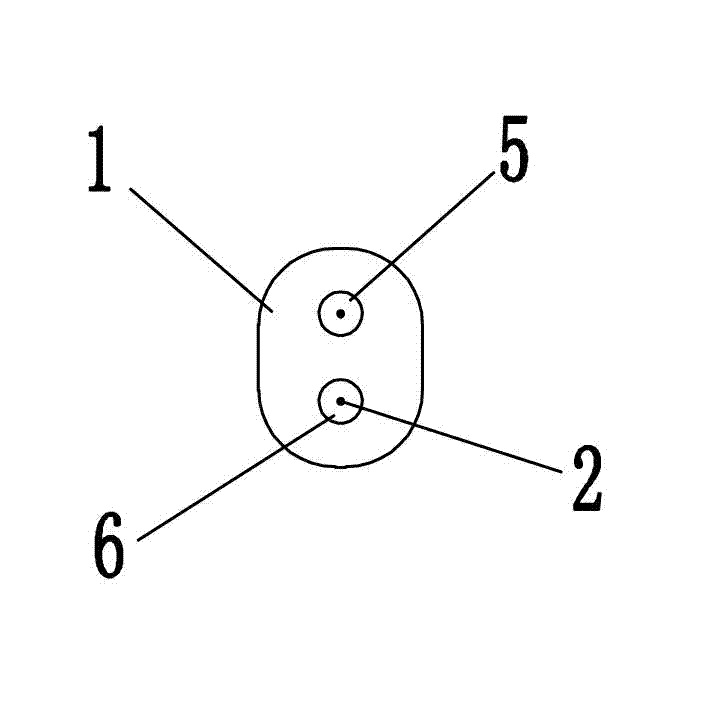 Loop ligature device for bladder tumor