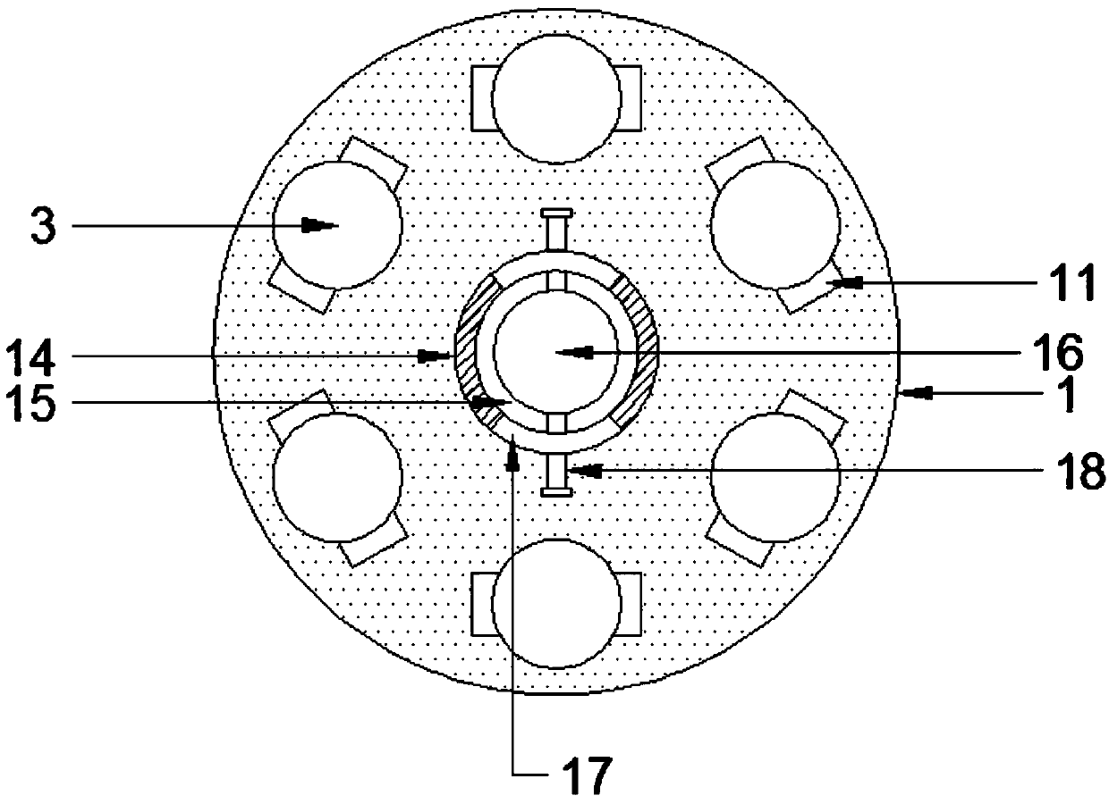 Multi-shovel-head radish picking device