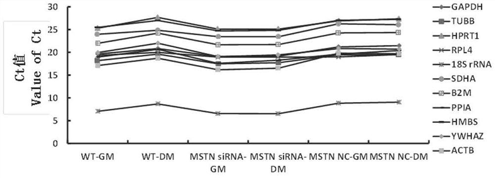 Method for interfering real-time fluorescent quantitative PCR reference gene screening of MSTN bovine skeletal muscle satellite cells