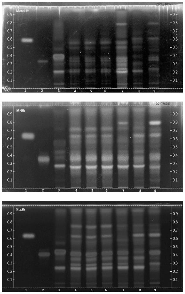 Rapid thin-layer identification method for multiple medicines in common goldenrop granule finished products