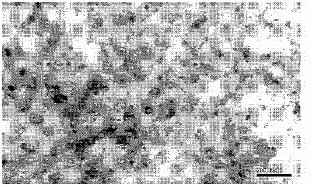 Coxsackievirus A16-type virus strain and use thereof