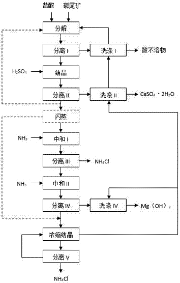 Method for preparing calcium sulfate whiskers and magnesium hydroxide by decomposing phosphate tailings through hydrochloric acid