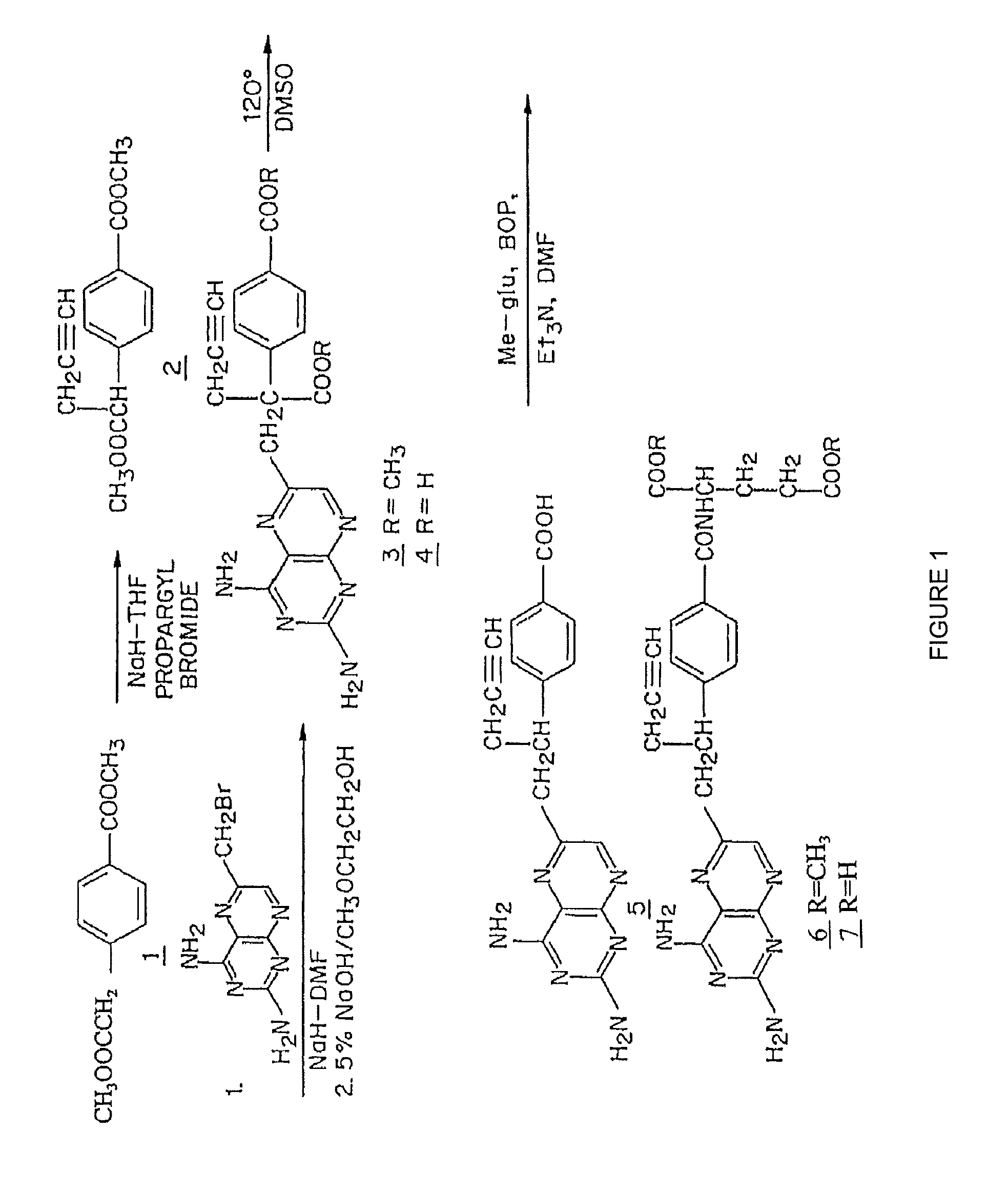 Methods for assessing cancer for increased sensitivity to 10-propargyl-10-deazaaminopterin