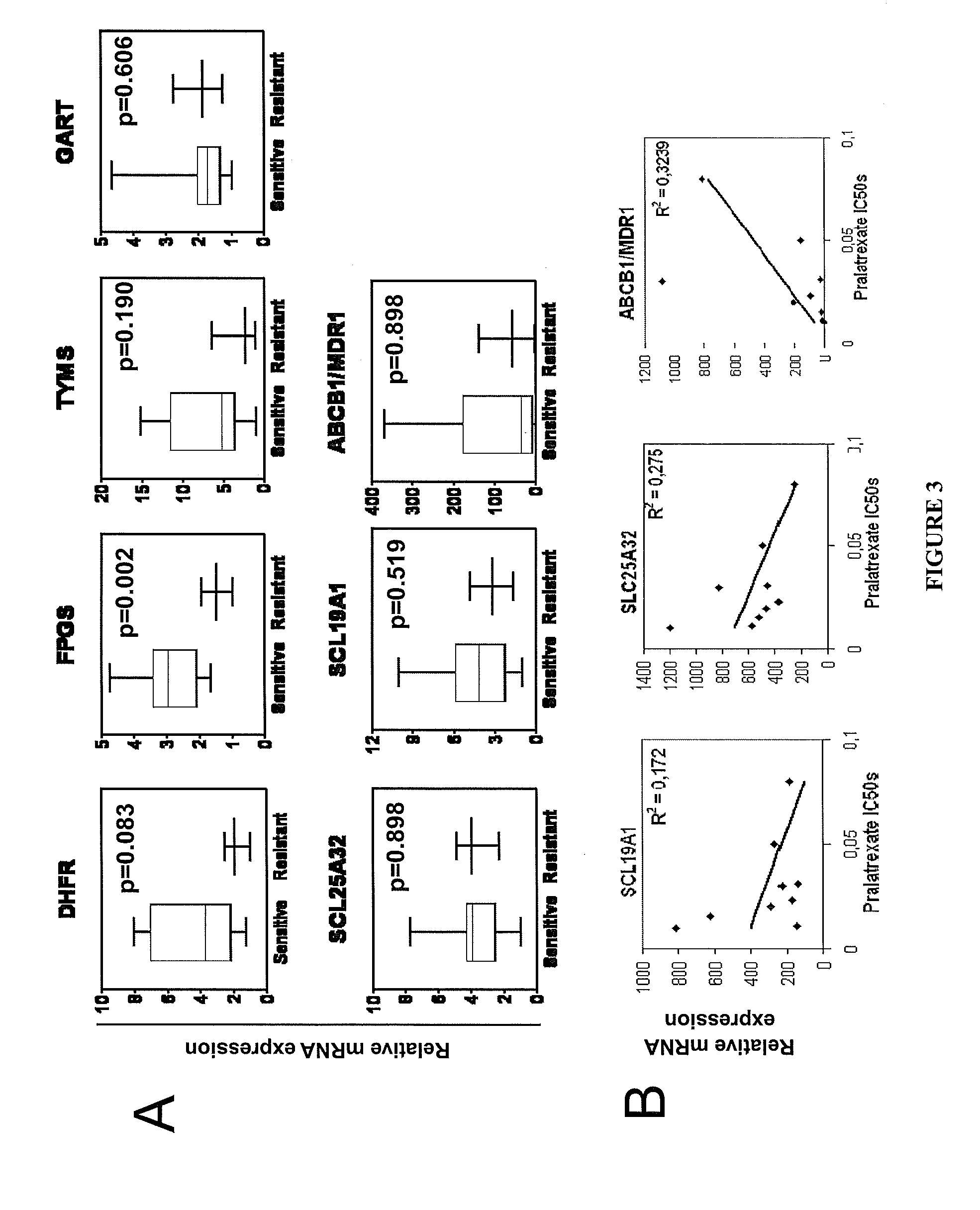 Methods for assessing cancer for increased sensitivity to 10-propargyl-10-deazaaminopterin