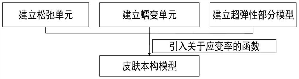 Method for constructing skin nonlinear constitutive model under action of compression load