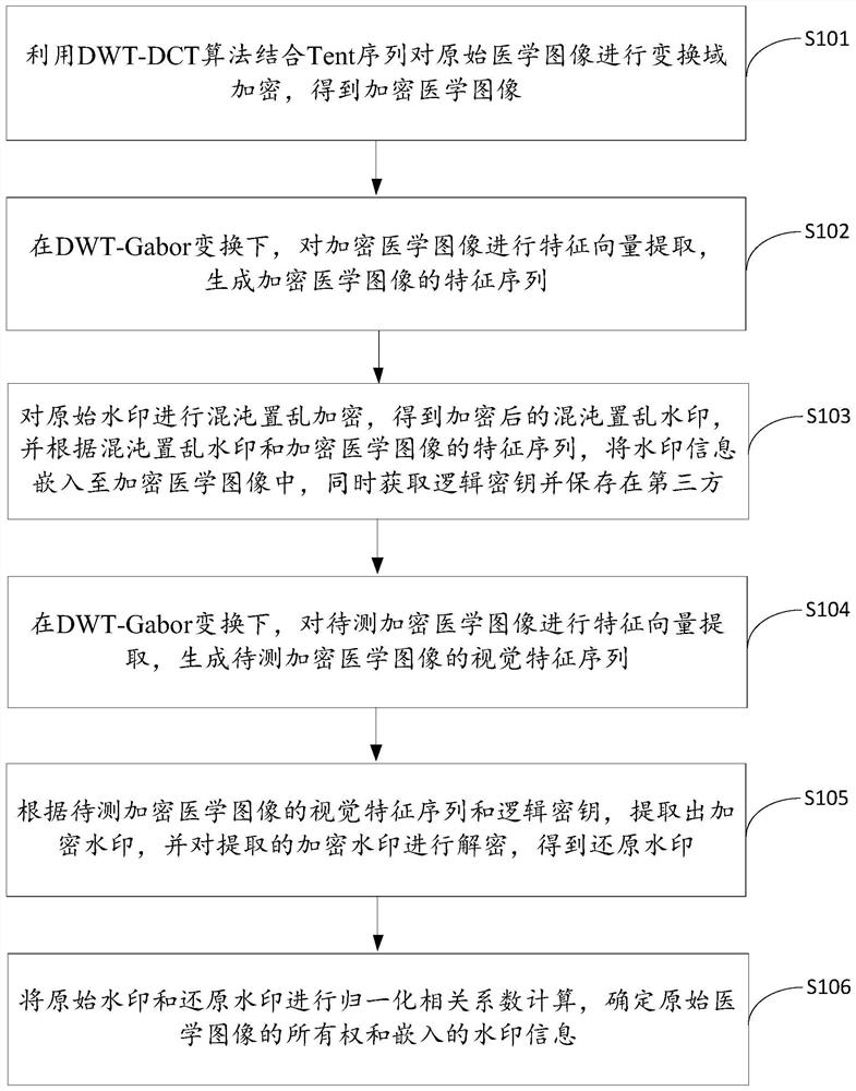 Encrypted medical image robust watermarking method based on DWT-Gabor