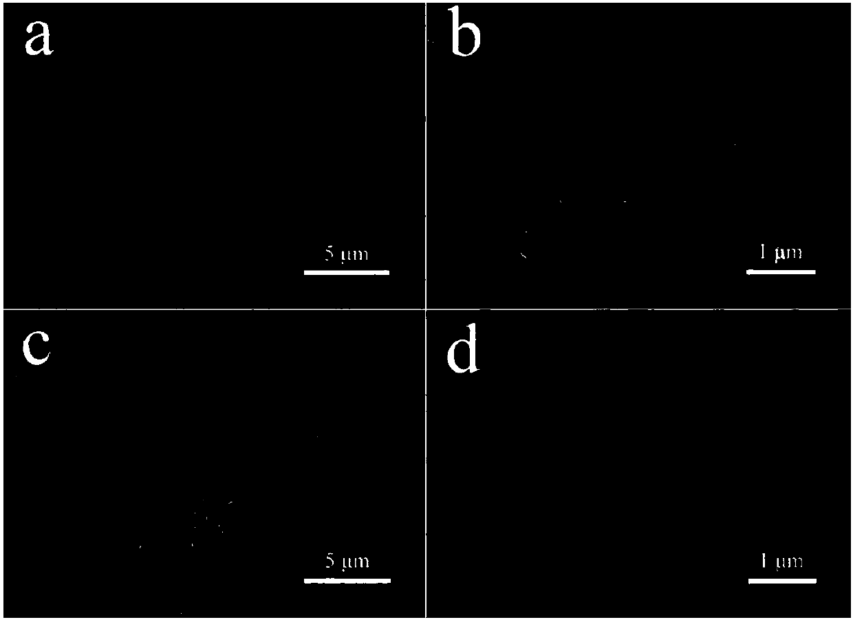 Double-metal loaded titanium dioxide nano porous ceramic catalyst as well as preparation method and application thereof