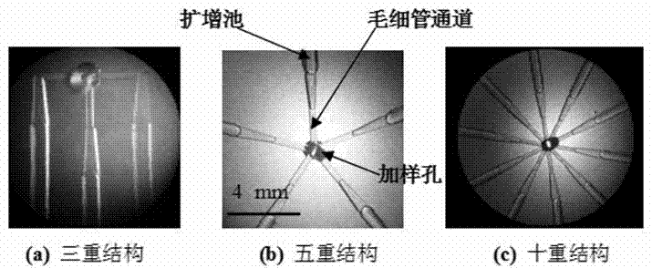 Microfluidic chip for multiple loop-mediated isothermal amplification (LAMP) detection and preparation method thereof