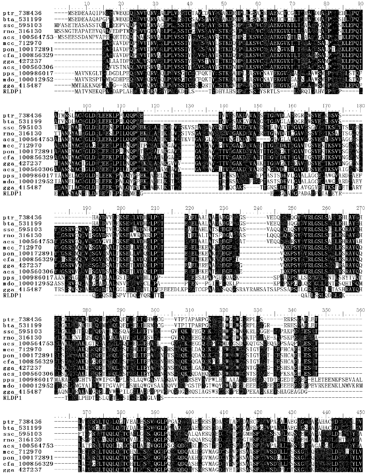 Oleaginous yeast lipid droplet protein, coding gene and application thereof