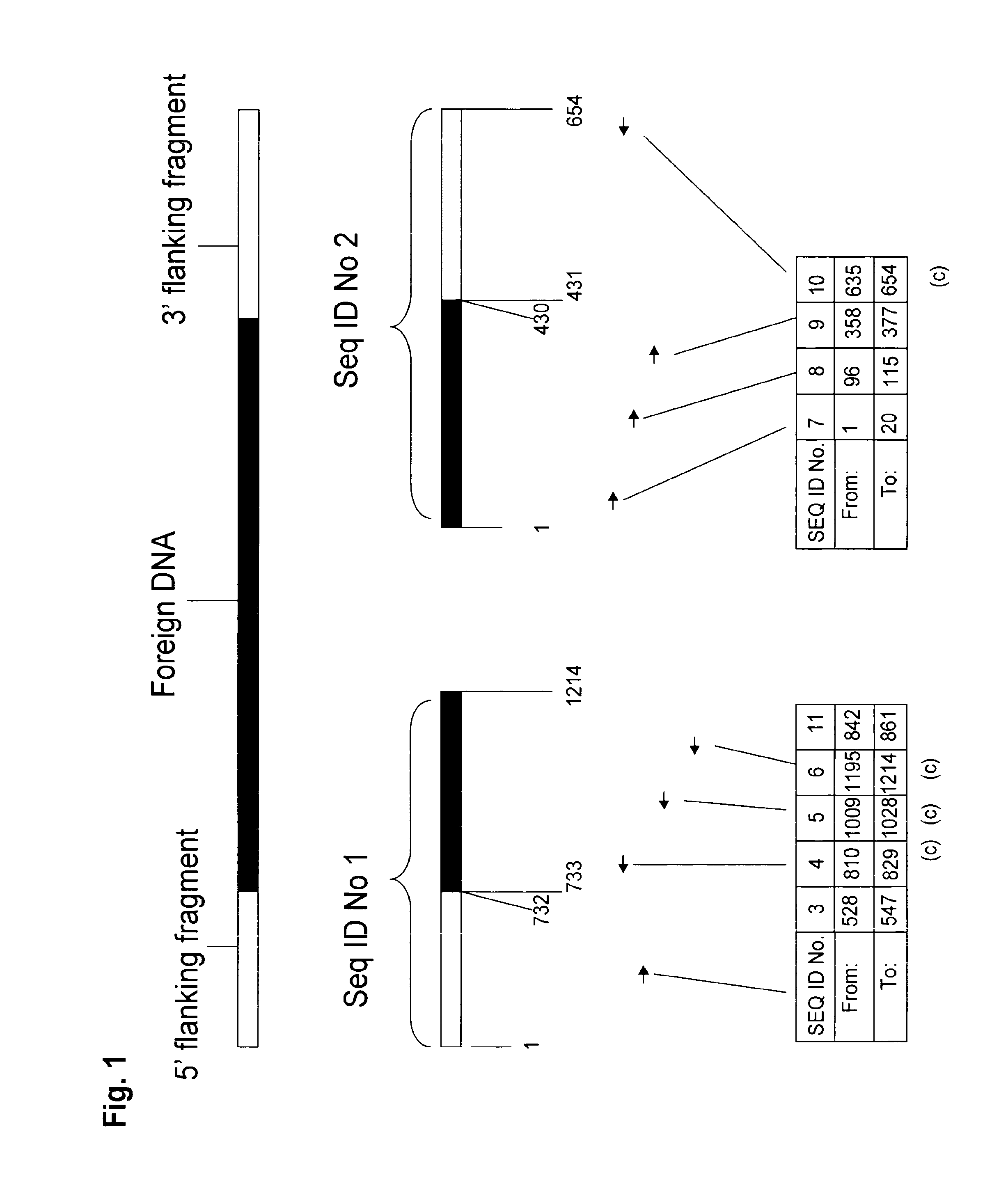 Herbicide tolerant cotton plants and methods for identifying same