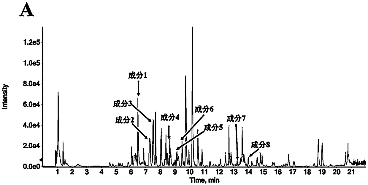 Application of star-flower lysimachia to preparation of medicine for enhancing immunity of blood system