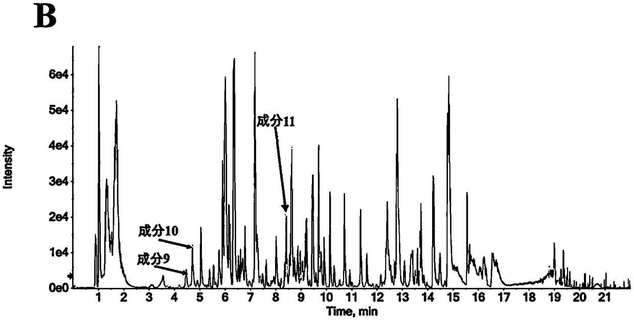 Application of star-flower lysimachia to preparation of medicine for enhancing immunity of blood system