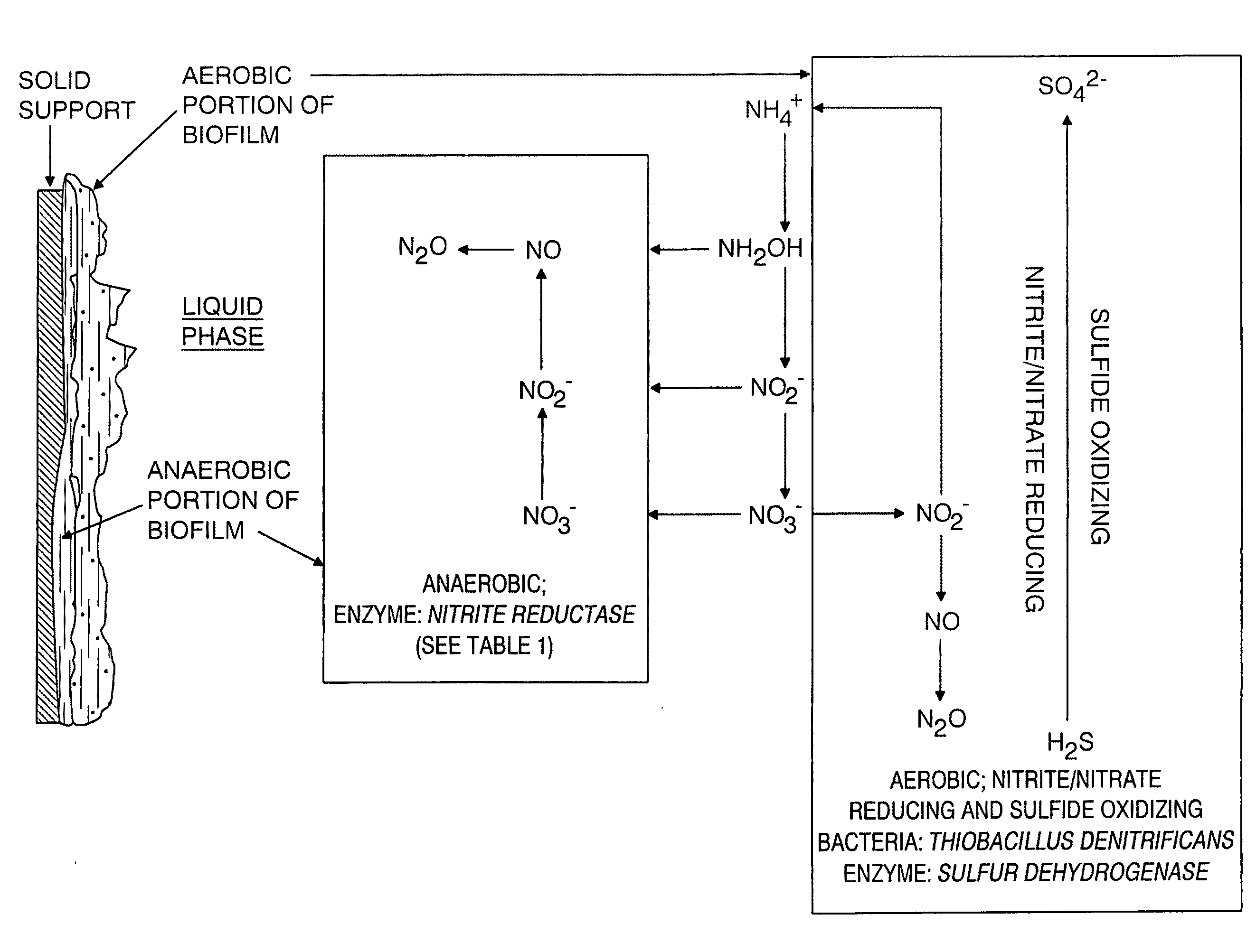 Enzymatically active compositions for suppressing sulfide generation and methods of use thereof