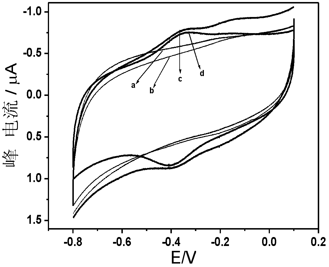 Hydrogen peroxide biosensor and preparation method thereof