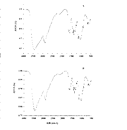 Preparation method for extracting chitosan from holotrichia parallela