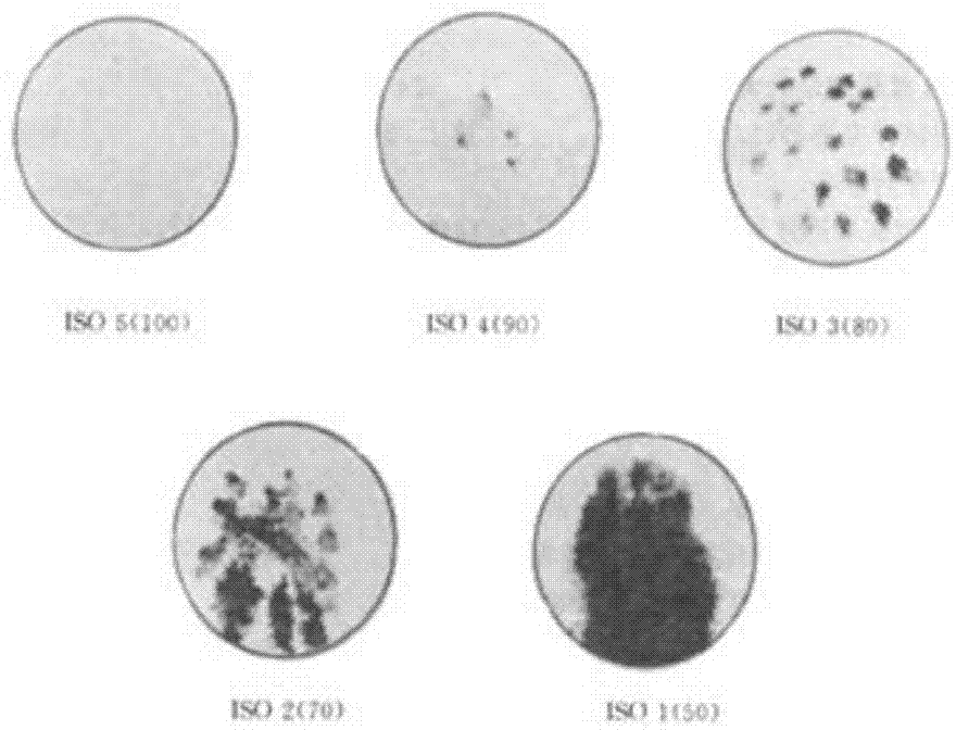 Compound function fabric and preparation method thereof