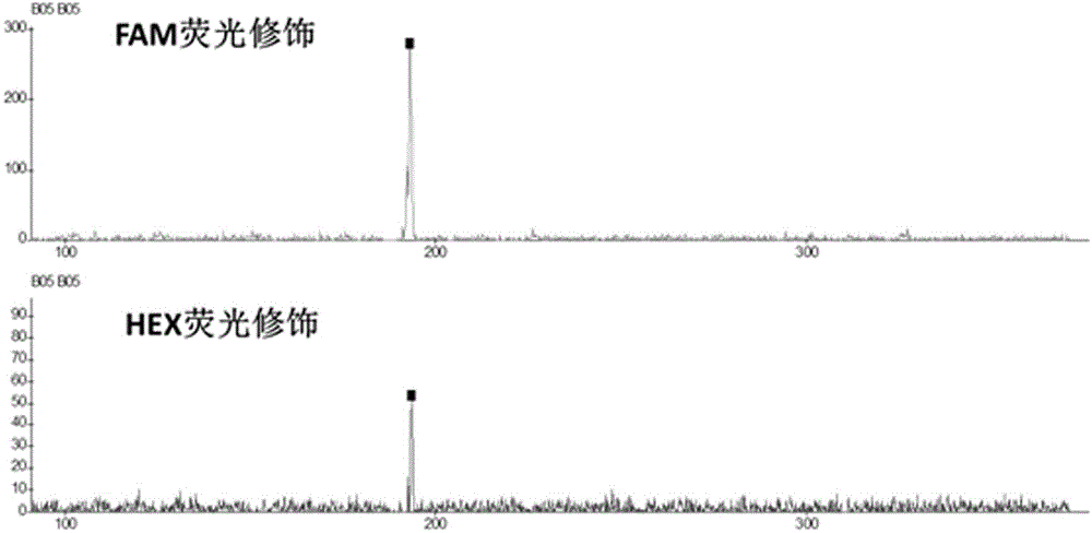 EST-SSR labeled primer combination and screening method for vegetable use, grain use and wild soybean genetic diversity analysis and authentication