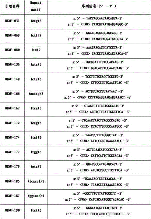 EST-SSR labeled primer combination and screening method for vegetable use, grain use and wild soybean genetic diversity analysis and authentication