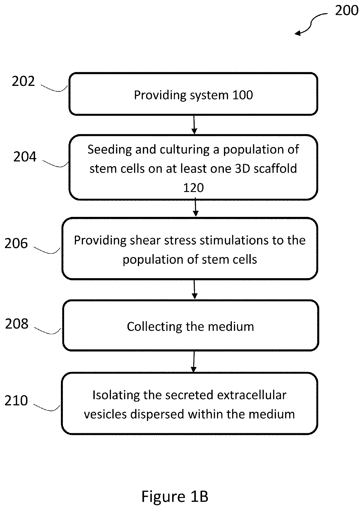 Production of extracellular vesicles from stem cells