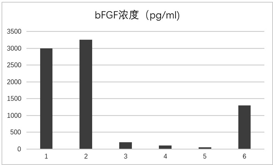 Stem cell extract and preparation method and application thereof