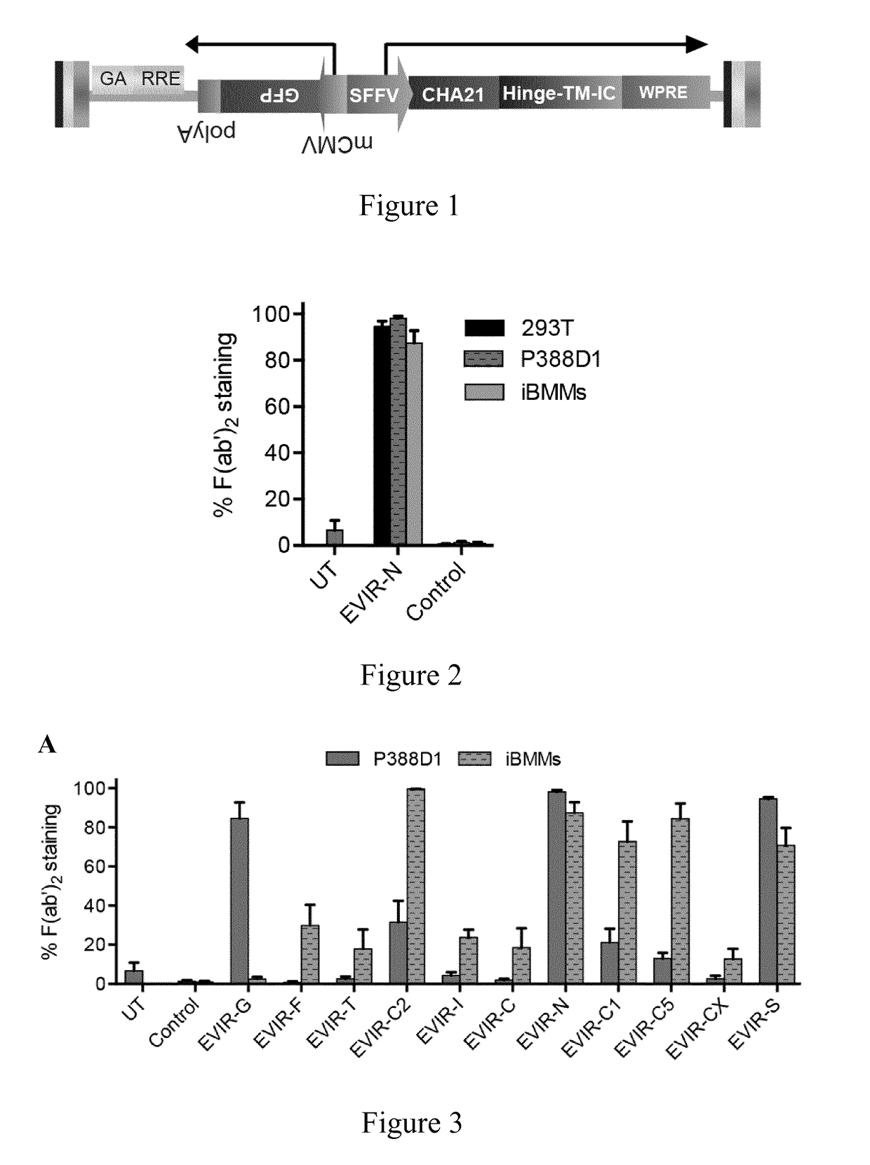 Engineered antigen presenting cells and uses thereof