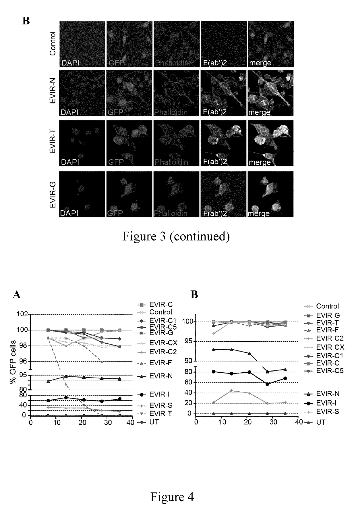 Engineered antigen presenting cells and uses thereof