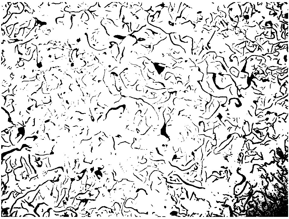 High-performance air cylinder sleeve and production technology and surface treatment method of high-performance air cylinder sleeve