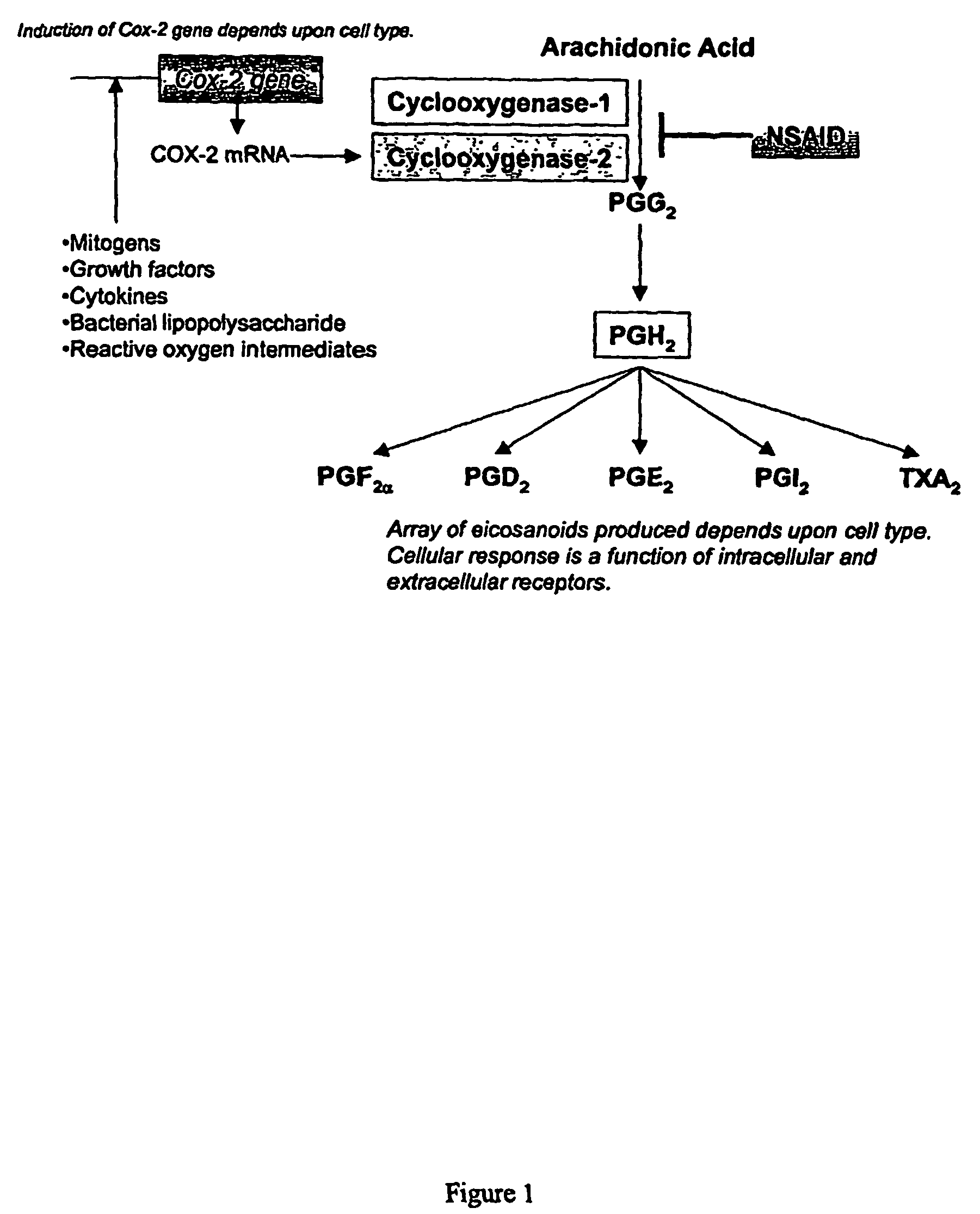 Anti-inflammatory pharmaceutical compositions for reducing inflammation and the treatment or prevention of gastric toxicity